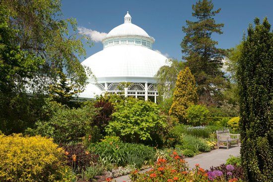Jardín Botánico de Nueva York
